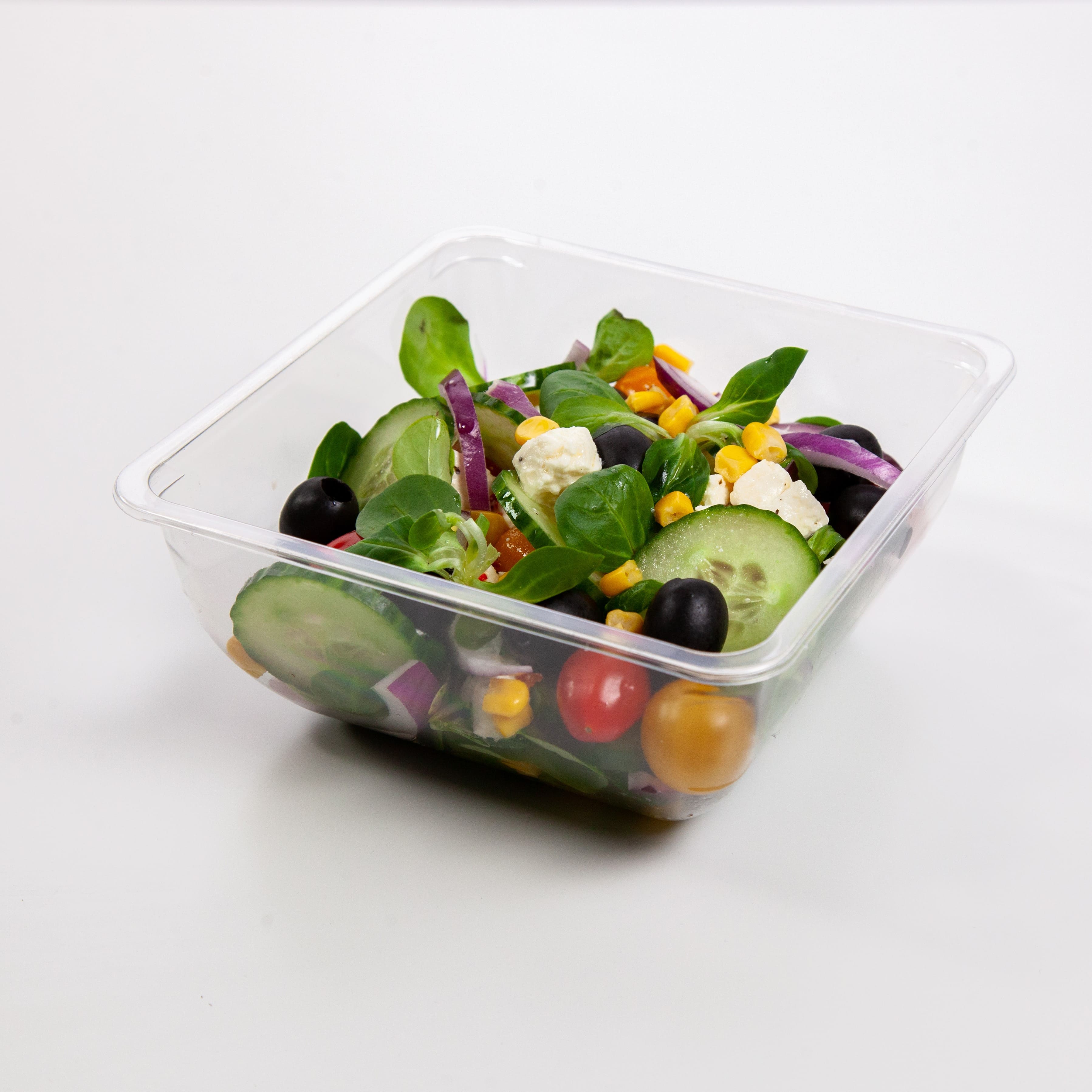 Bol salade Plastique Rond plat + Couvercle - SML Food Plastic